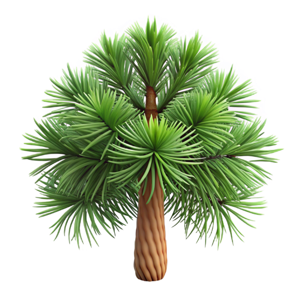 reflective vibrant Slash pine tree with long needles, flaky bark, soft lighting, top-down view, isolateon transparent background,high-resolution product photography high quality png