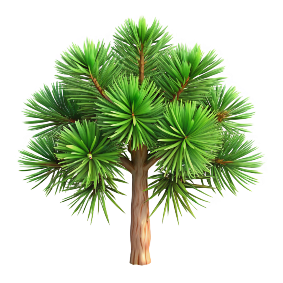 remarkable organic Slash pine tree with long needles, flaky bark, soft lighting, top-down view, isolateon transparent background,high-resolution product photography high resolution png