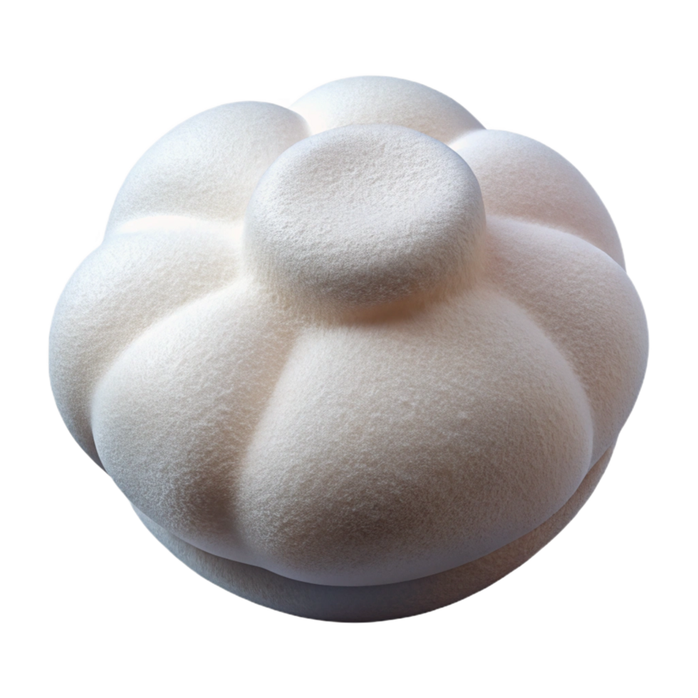 glorious standout A single cotton pawith a texturesurface, soft lighting, front view, photorealistic, isolateon transparent background,high-resolution product photography png
