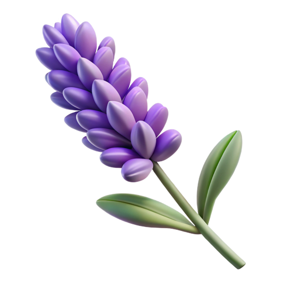 serene memorable Single stem of lavender with multiple purple flowers, detaileleaves anstems, soft lighting, isolateon transparent background,high-resolution product photography png