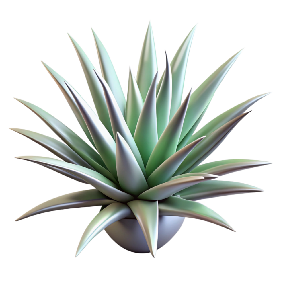 covetemodern Single, spiky air plant Tillandsia, silvery-green, detailetexture, dramatic lighting, front view, with transparent background,high-resolution product photography 4K png