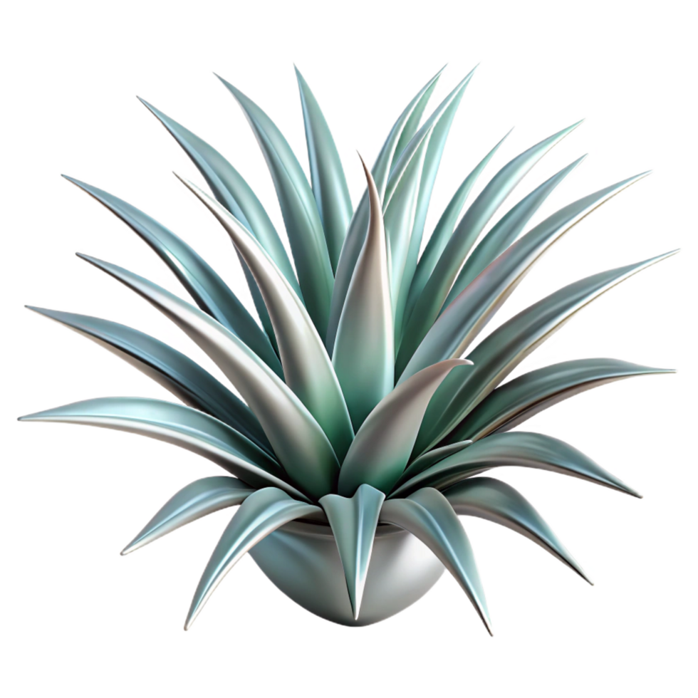 harmonious vibrant Single, spiky air plant Tillandsia, silvery-green, detailetexture, dramatic lighting, front view, with transparent background,high-resolution product photography artisan png