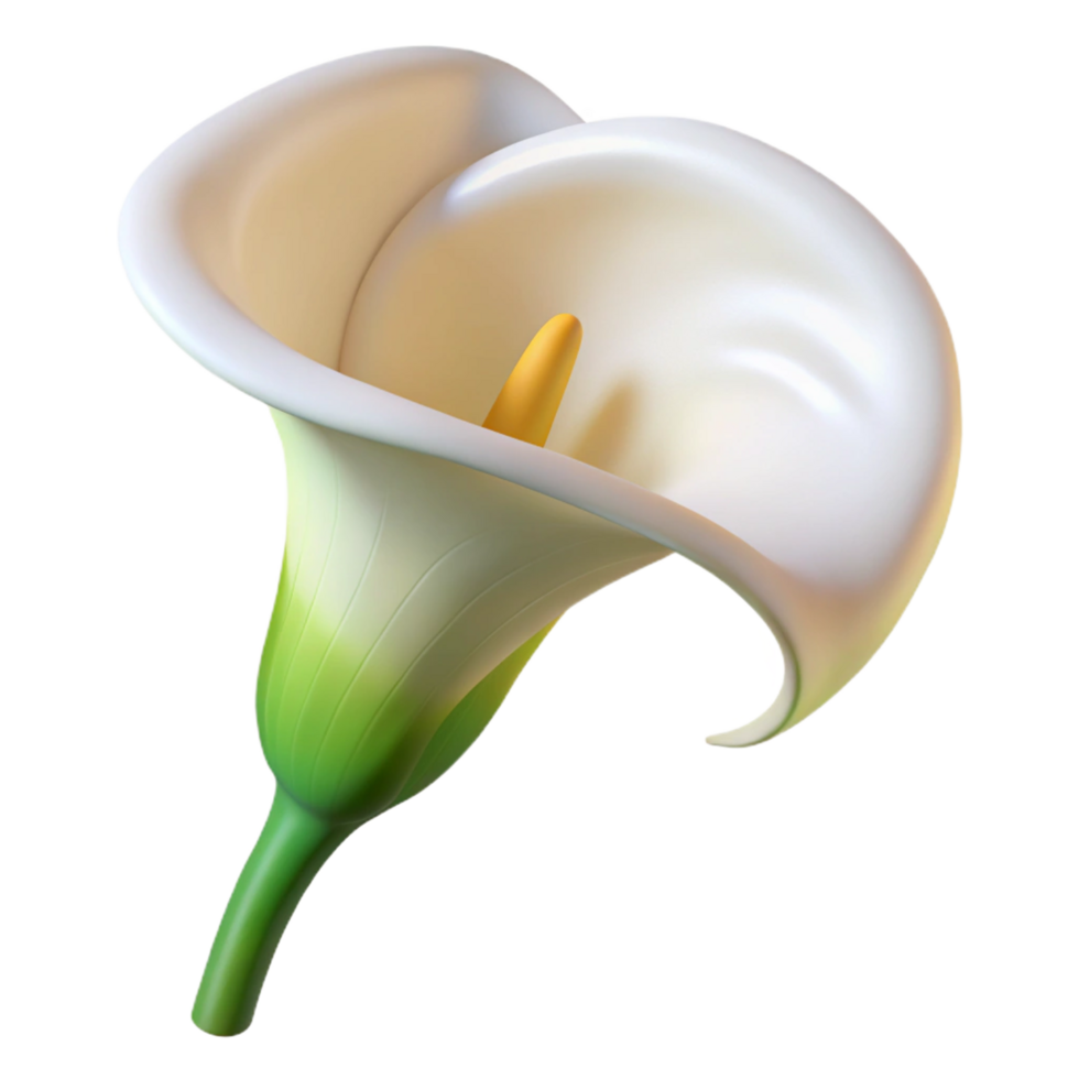 covetebaroque White calla lily, elegant curveshape, smooth texture, soft lighting, side view, product shot, isolateon transparent background,high-resolution product photography refined png