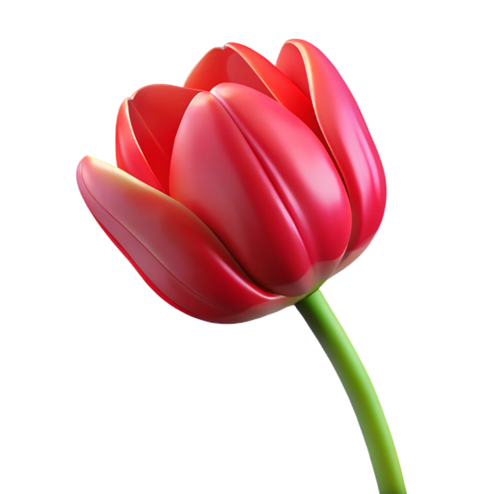 enchanting joyful organic Single tulip, vibrant repetals, smooth texture, dramatic lighting, side view, product shot, isolateon transparent background,high-resolution product photography sharp png