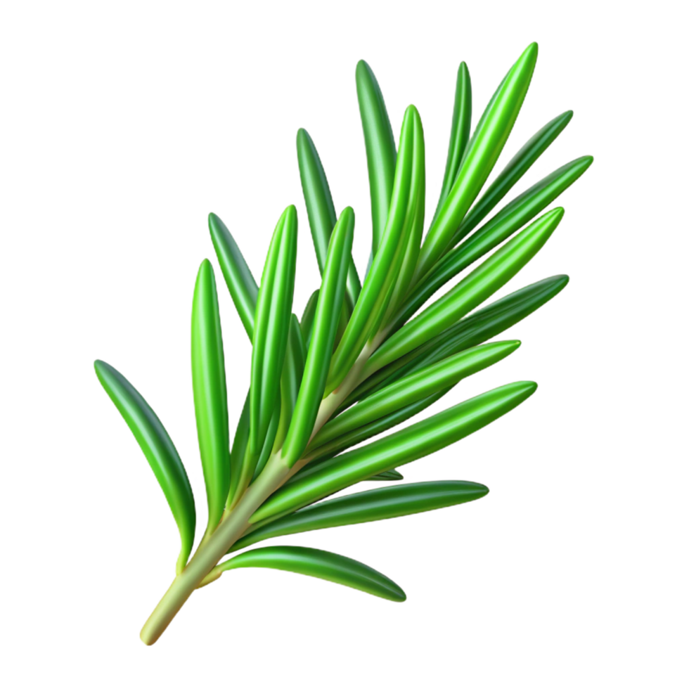 ethereal majestic Sprig of rosemary, fresh green needles, detailetexture, studio lighting, top-down view, product shot, isolateon transparent background,high-resolution product photography original png