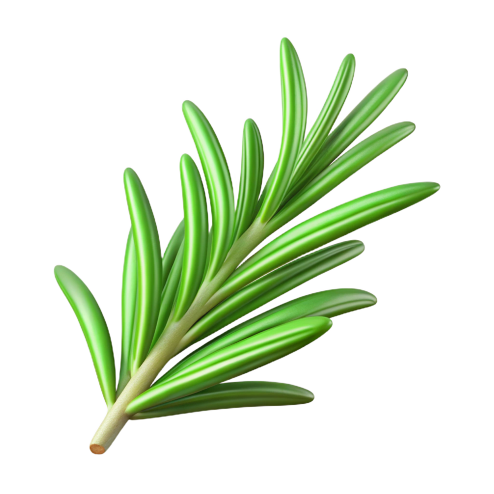 calm alluring Sprig of rosemary, fresh green needles, detailetexture, studio lighting, top-down view, product shot, isolateon transparent background,high-resolution product photography flawless png