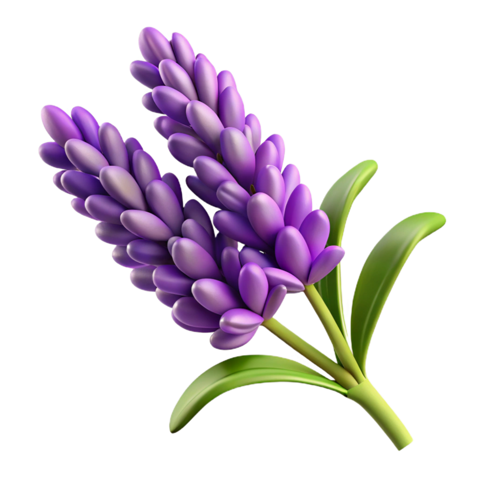 remarkable organic Branch of lavender flowers, purple blossoms, detailetexture, studio lighting, product shot, isolateon transparent background,high-resolution product photography precision png