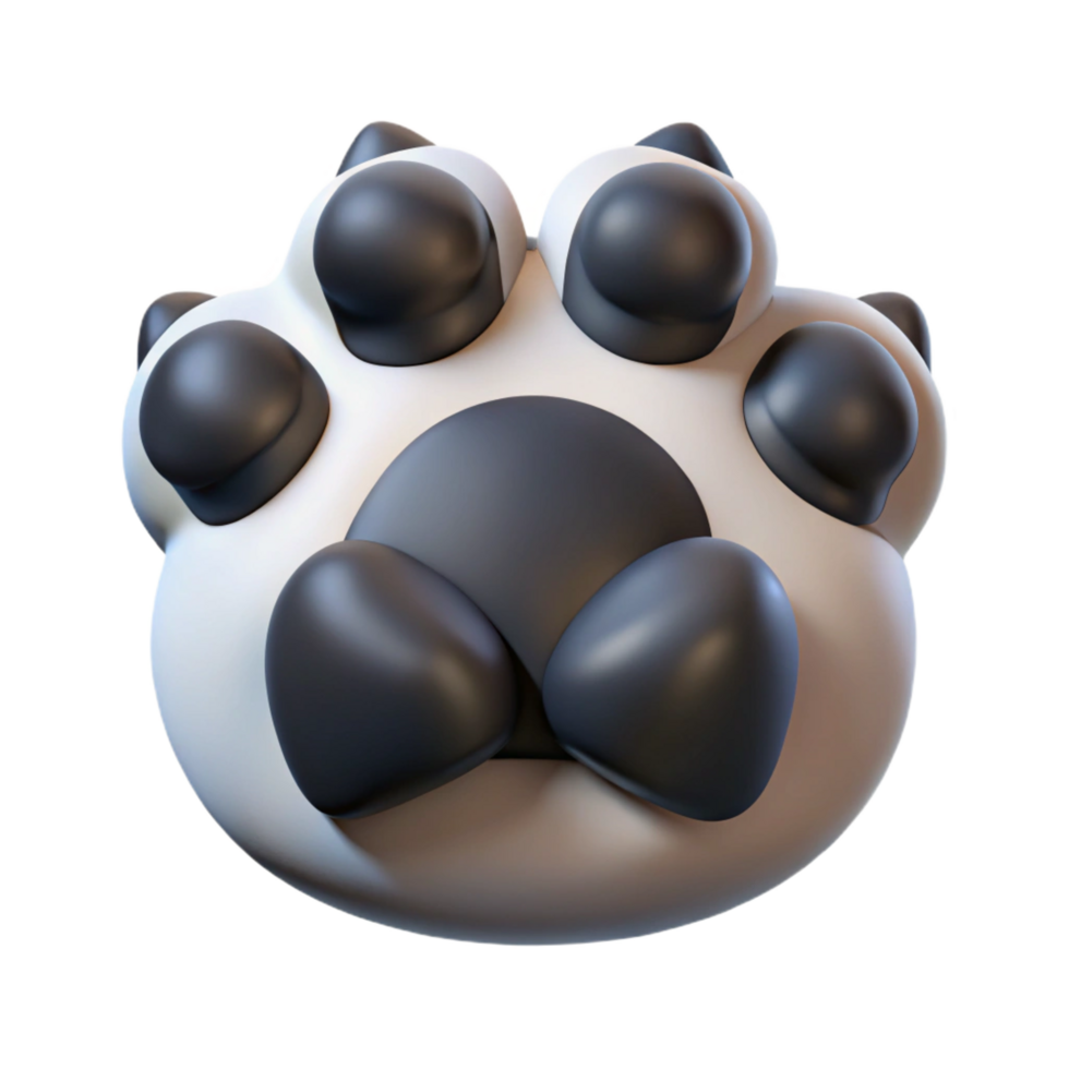 sought-after organic Panda paw, detaileclaws anpads, studio lighting, top-down view, photorealistic, isolateon transparent background,high-resolution product photography professional png