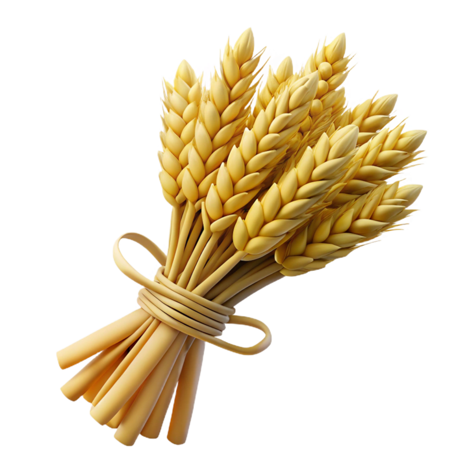 unforgettable contemporary Bundle of wheat stalks tiewith twine, natural texture, soft lighting, isolateon transparent background,high-resolution product photography high resolution png