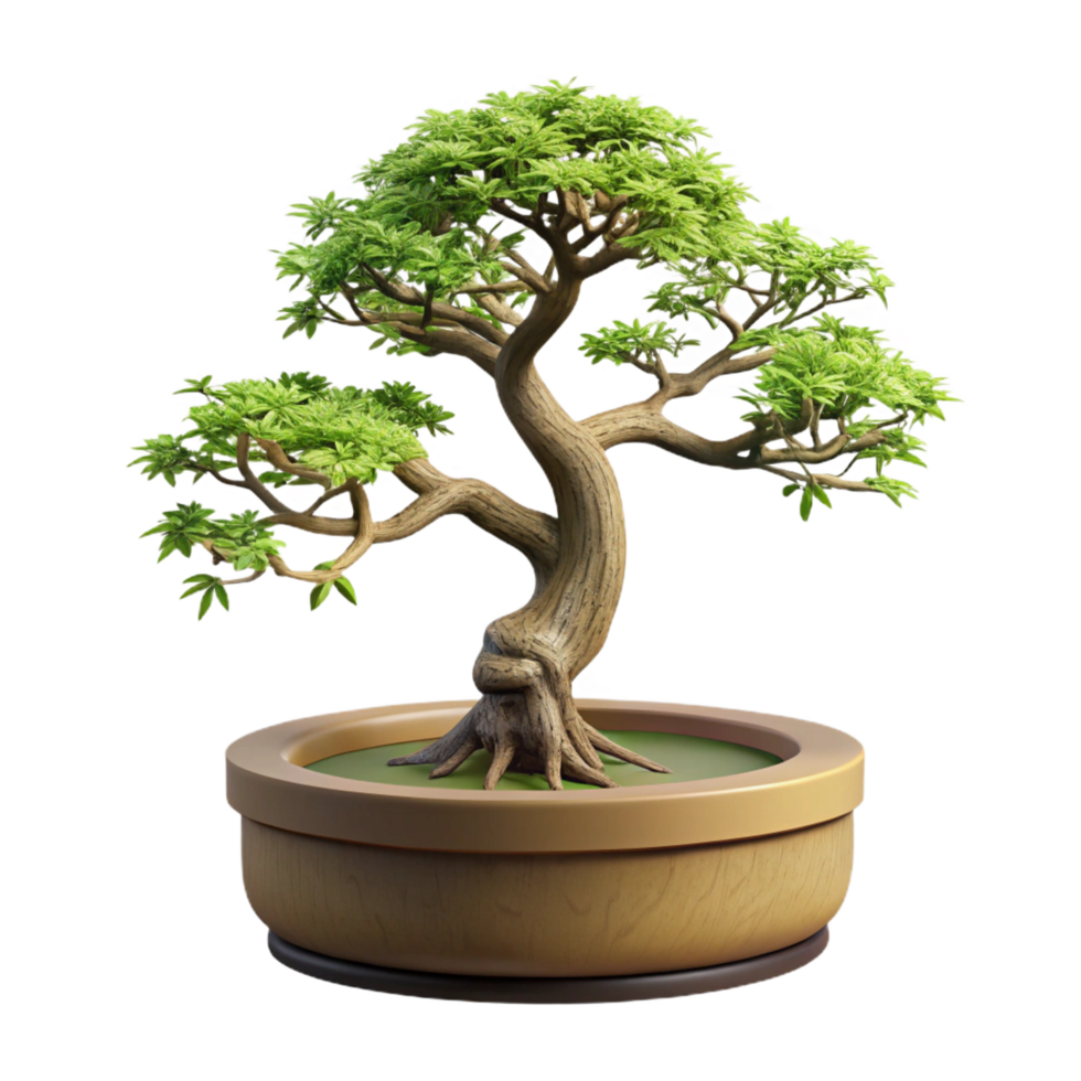 pristine exceptional Miniature bonsai tree with intricate branches antiny leaves, weatherewooden trunk, studio lighting, isolateon transparent background,high-resolution product photography png