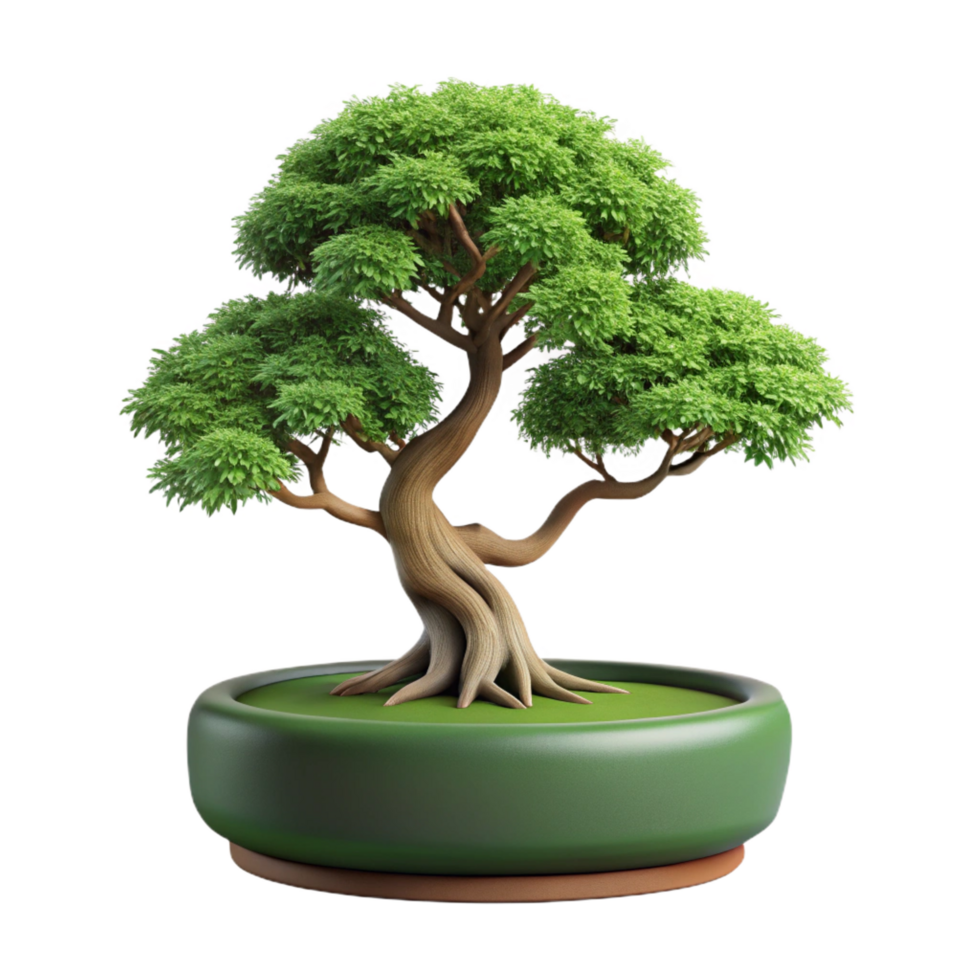 distinctive bohemian Bonsai tree with cascading branches, mossy base, studio lighting, front view, isolateon transparent background,high-resolution product photography luxury png