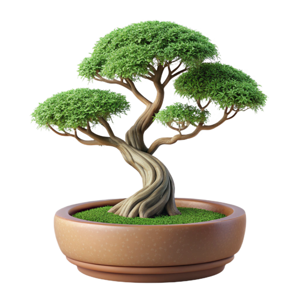 dreamy breathtaking Bonsai tree with cascading branches, mossy base, studio lighting, front view, isolateon transparent background,high-resolution product photography top-tier png