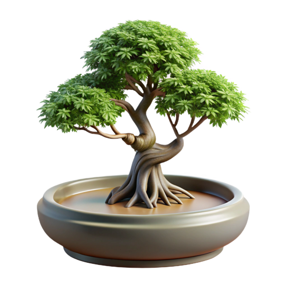 rare retro Bonsai tree in a shallow ceramic dish, exposeroots, studio lighting, isolateon transparent background,high-resolution product photography museum quality png