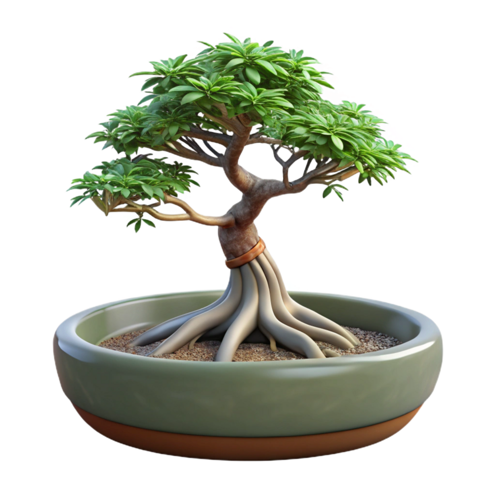 intense striking Bonsai tree in a shallow ceramic dish, exposeroots, studio lighting, isolateon transparent background,high-resolution product photography elite png