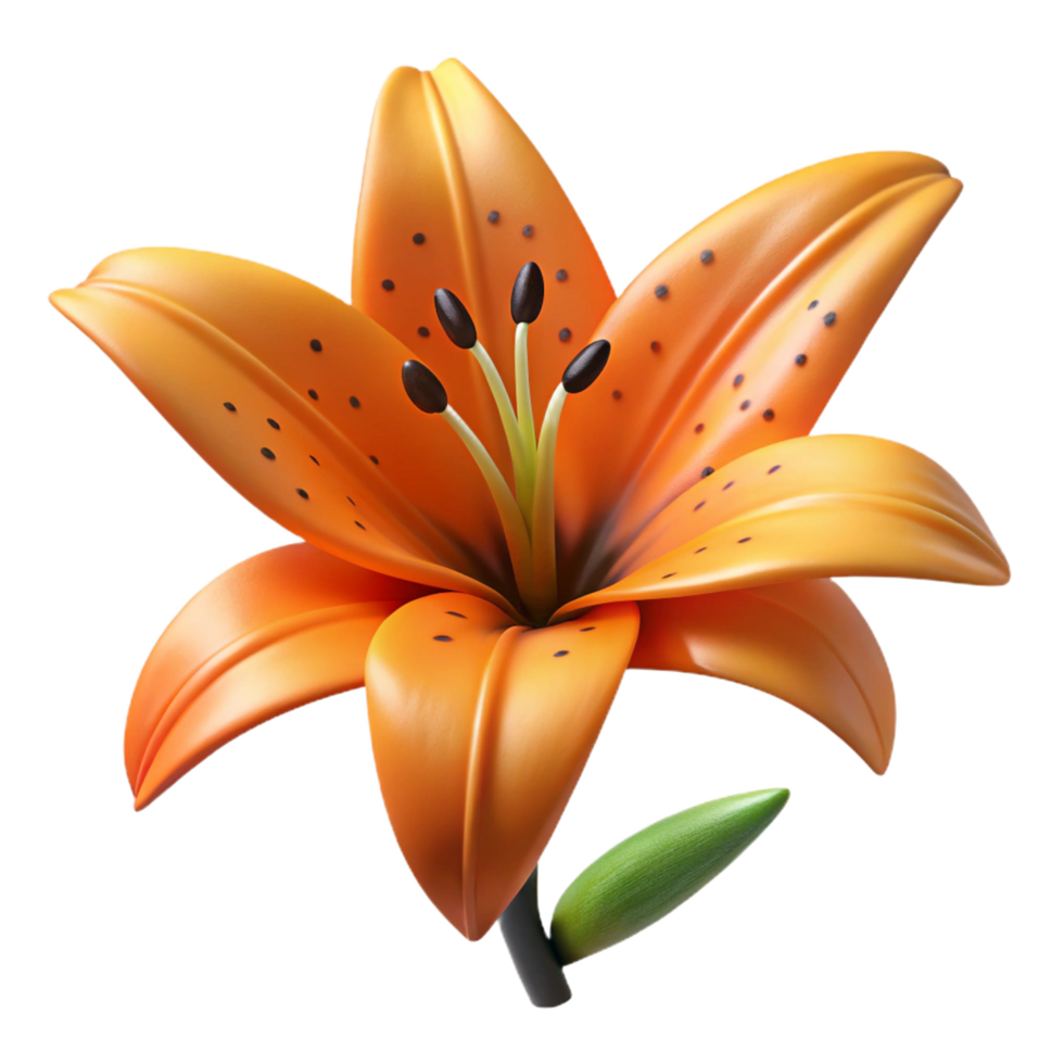 immaculate unparalleleOrange lily with dark spots, dramatic lighting, side view, isolateon transparent background,high-resolution product photography png