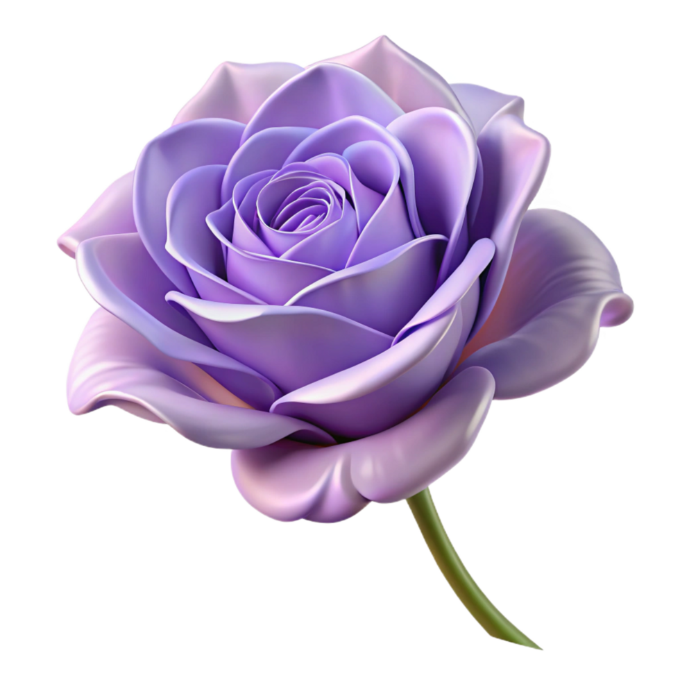 wonderful dynamic urban Single lavender rose, soft petals, gentle curves, studio lighting, side view, photorealistic, isolateon transparent background,high-resolution product photography premium png