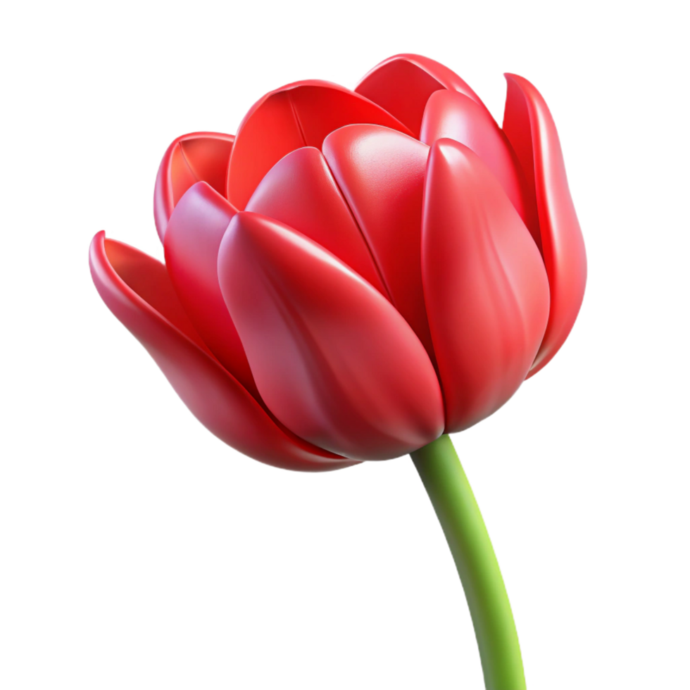 quintessential bohemian Single retulip, vibrant color, smooth petals, studio lighting, front view, photorealistic, isolateon transparent background,high-resolution product photography gallery standard png