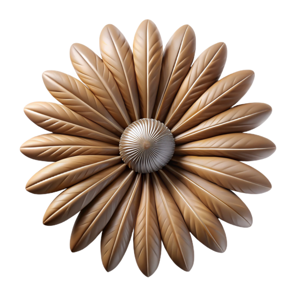 nostalgic magnificent Feather mandala, natural earth tones, textured, soft lighting, front view, studio photography, isolateon transparent background,high-resolution product photography museum quality png