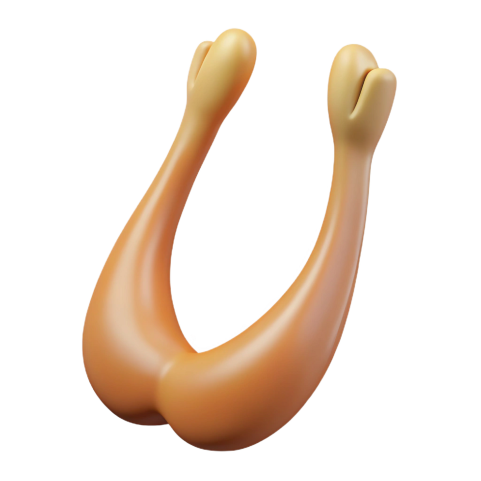 beautiful dramatic modern Turkey wishbone, clean, dry, studio lighting, front view, matte finish, isolateon transparent background,high-resolution product photography original png