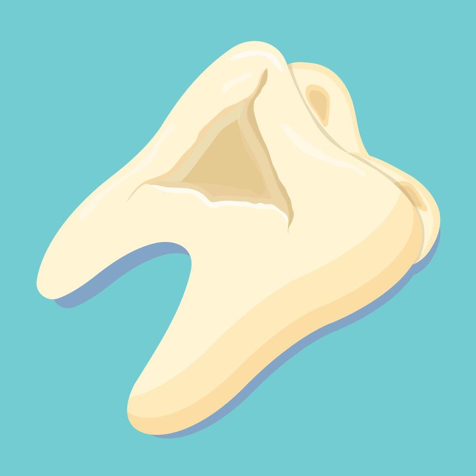 Broken molar isolated on flat background vector