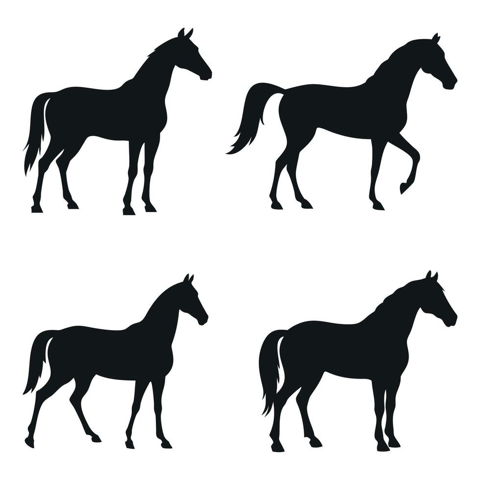 Set Of Horse Silhouettes Standing And Walking In Elegant Poses Against A White Background For Equine Illustration And Design vector