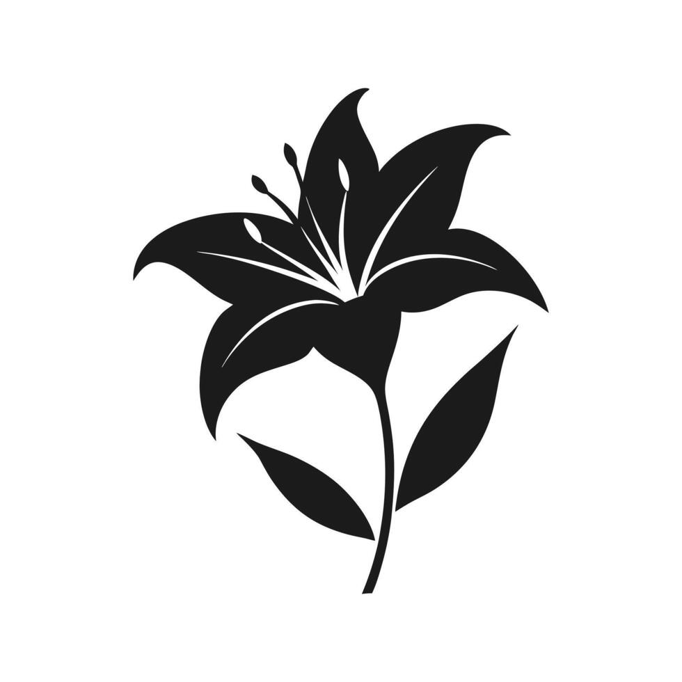 Lily flower silhouette with white background vector