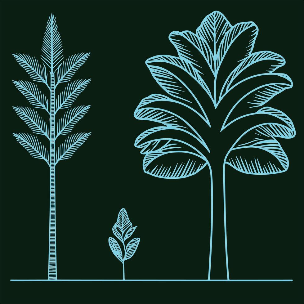 Tropical Trees and Palm Silhouettes for Nature Design vector