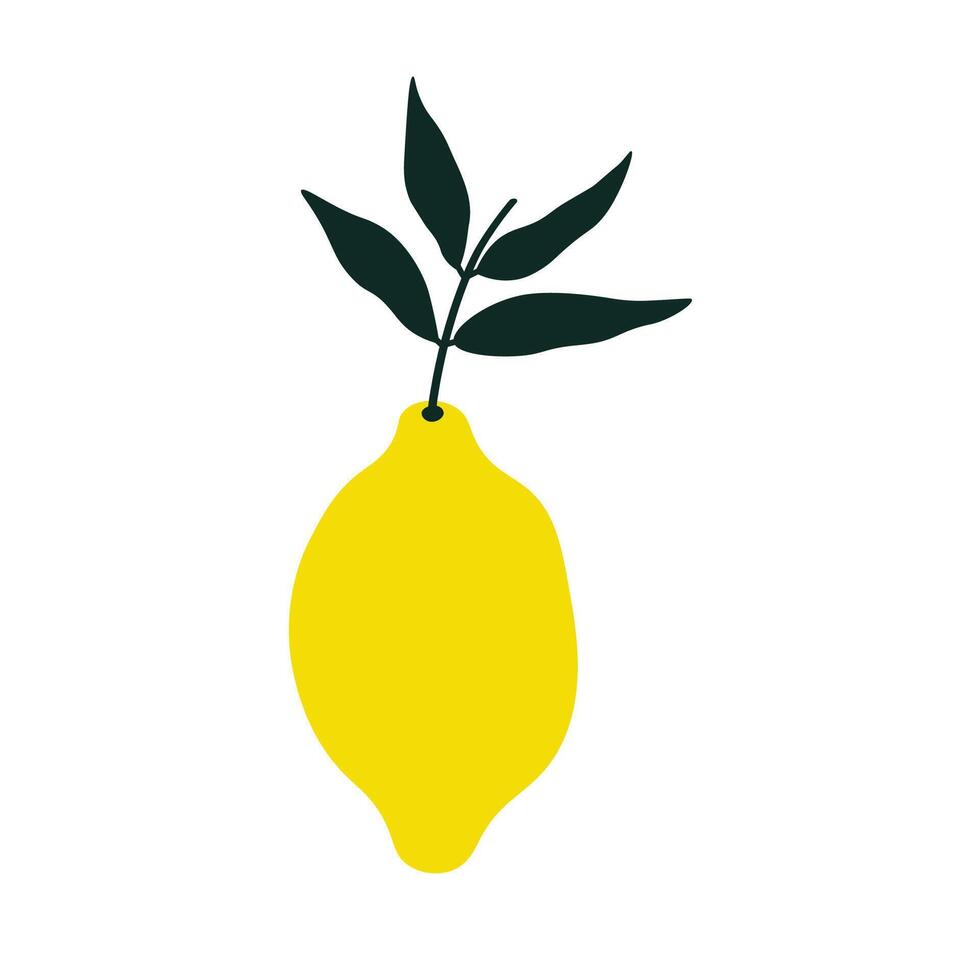 Lemon Citrus fruit on isolated background. botanical illustration of yellow Lime plant with branch and leaves for logo, sign, card, print, paper, label. Design element for food, cosmetics vector