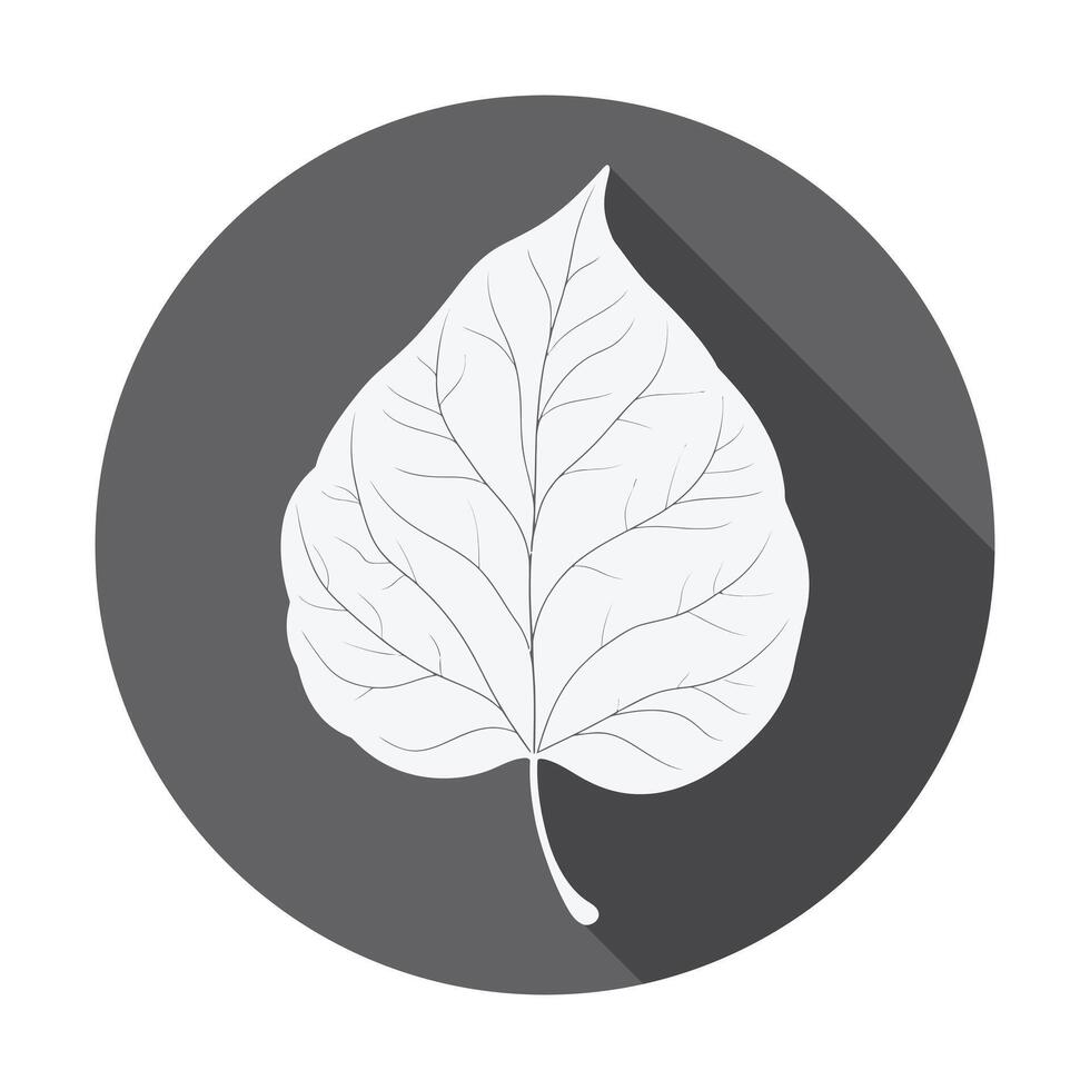 A leaf icon on a black background vector