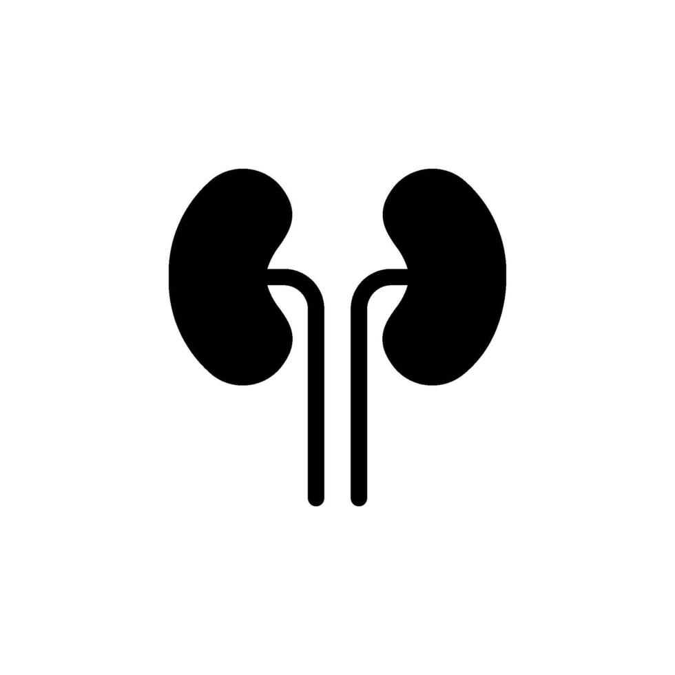 kidney icon simple design. Depicts human kidneys and ureters. Suitable for medical, healthcare, anatomical vector