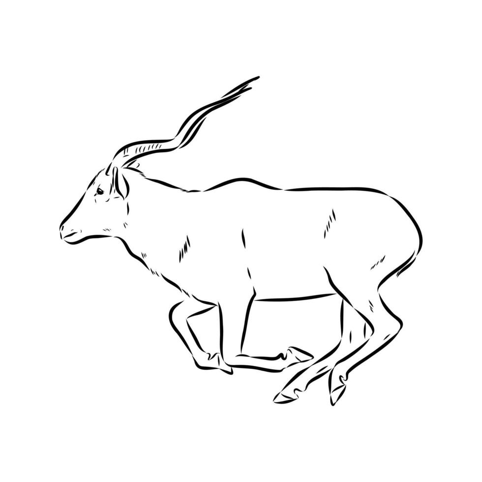 Saber-horned antelope addax hand sketch vector