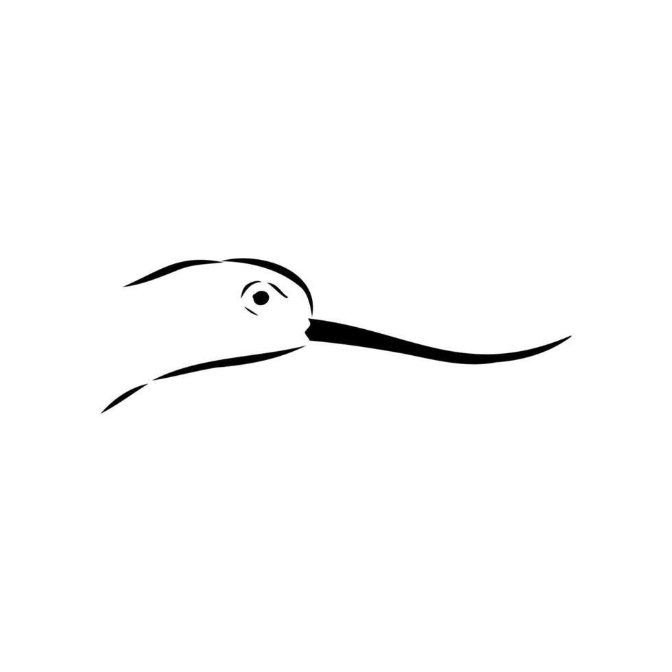 The head of a wading bird is a sandpiper vector