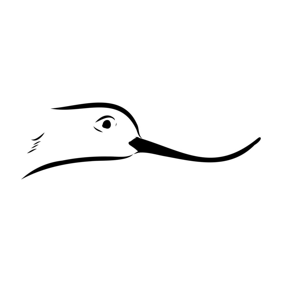 The head of a small bird sandpiper sketch vector