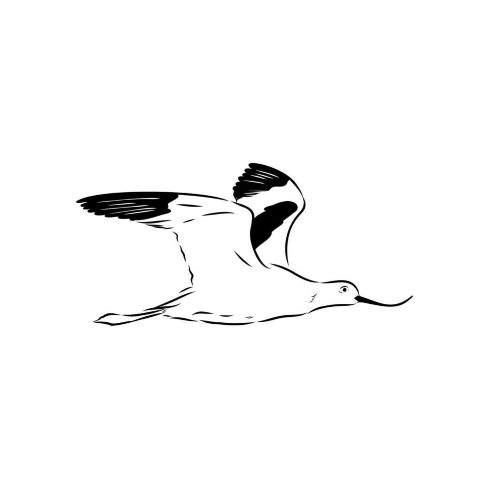 wading bird sandpiper in flight vector