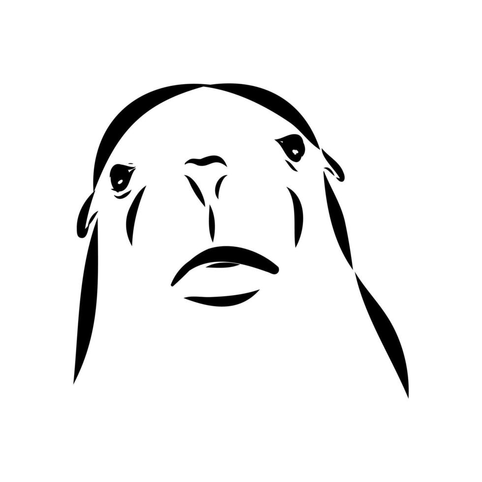 sea lion's head hand-drawn vector