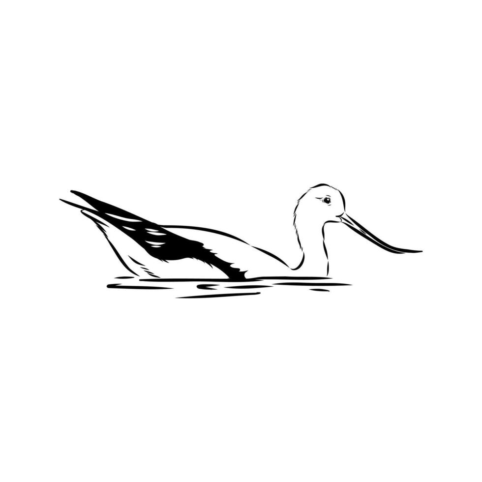 wading bird sandpiper vector