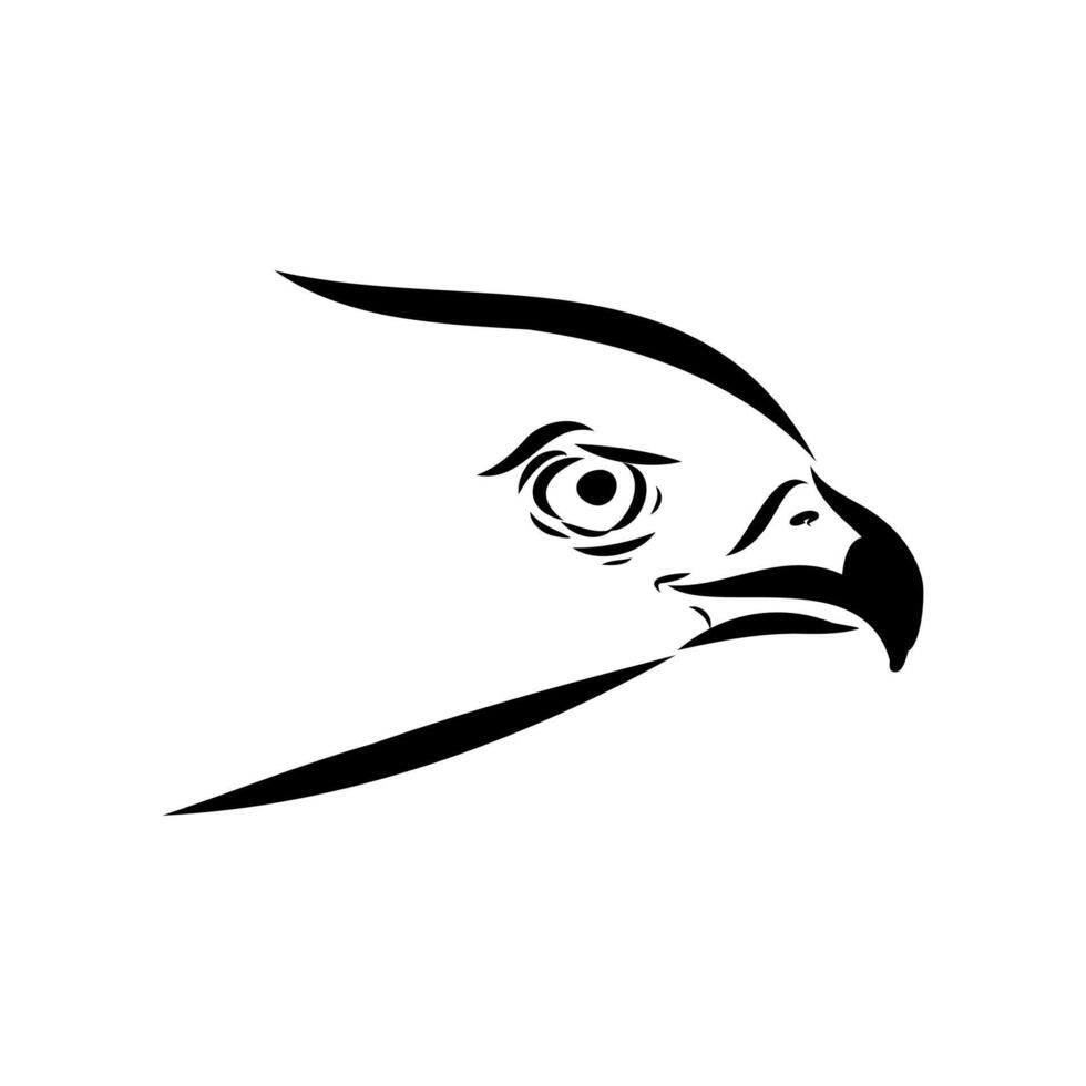 The head of the Australian brown vector