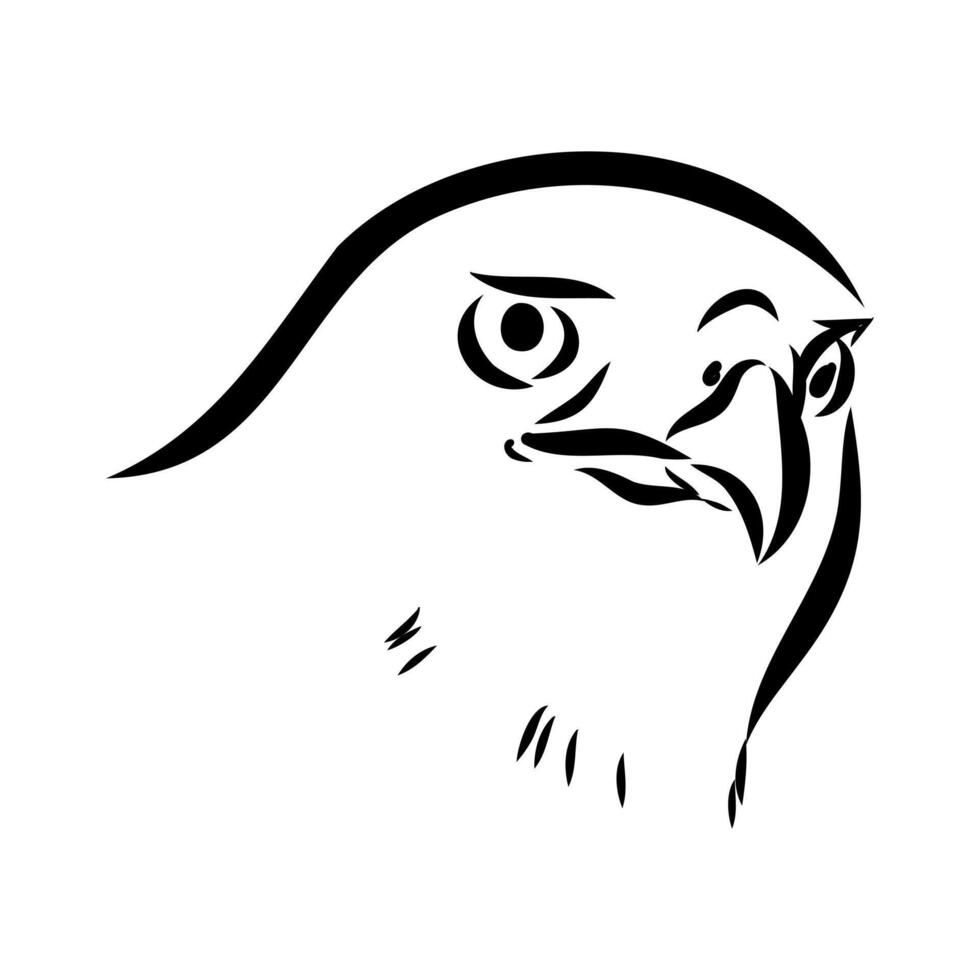 brown hawk's head sketch vector