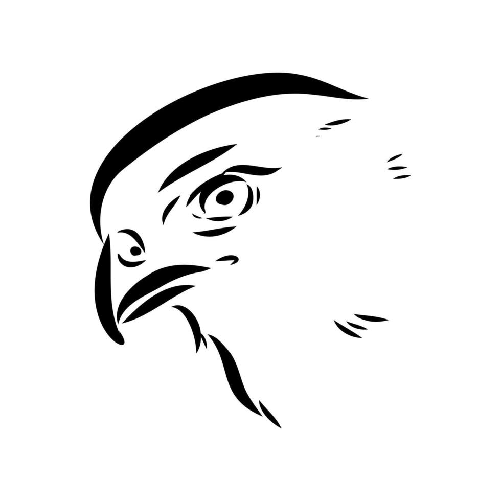 Brown hawk bird drawing vector