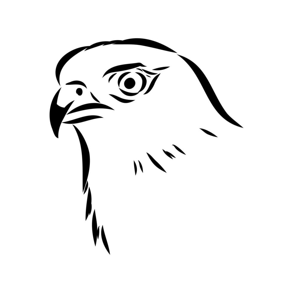 brown hawk's head hand-drawn vector