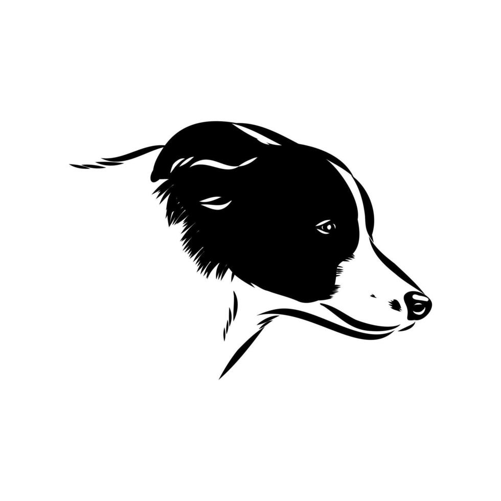 The head of an intelligent border collie dog sketch vector