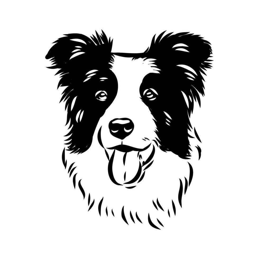 border collie dog head sketch vector
