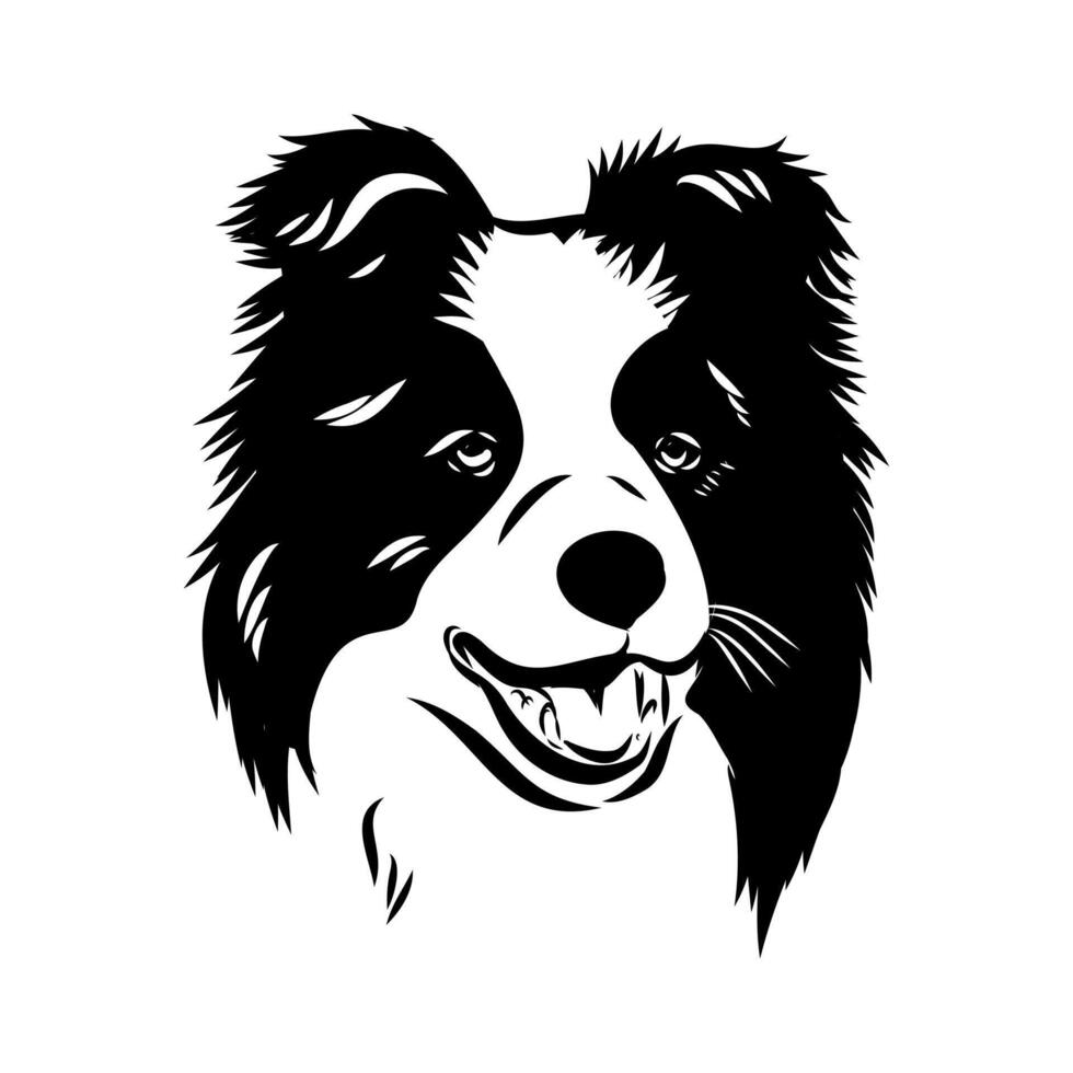 Wa border collie dogeb vector