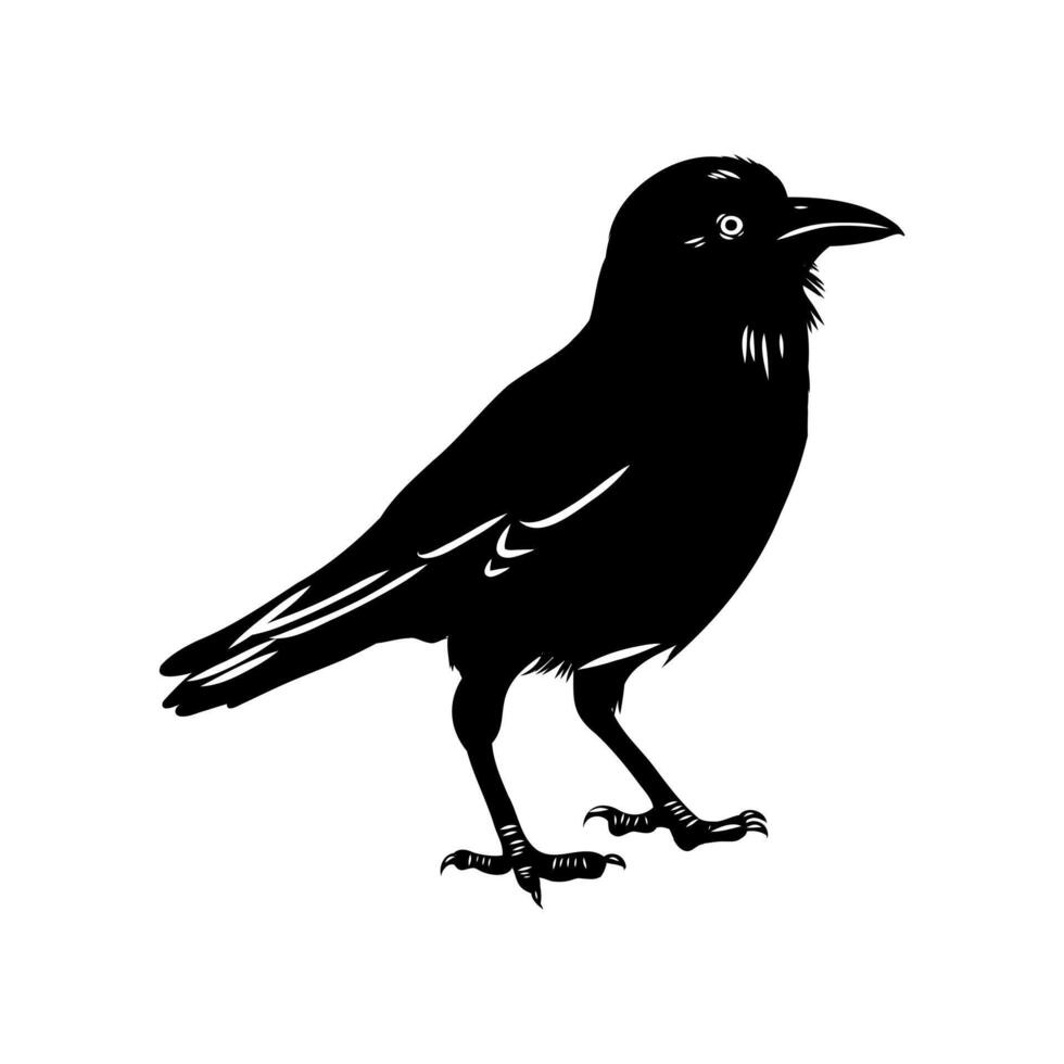 smart bird black crow vector