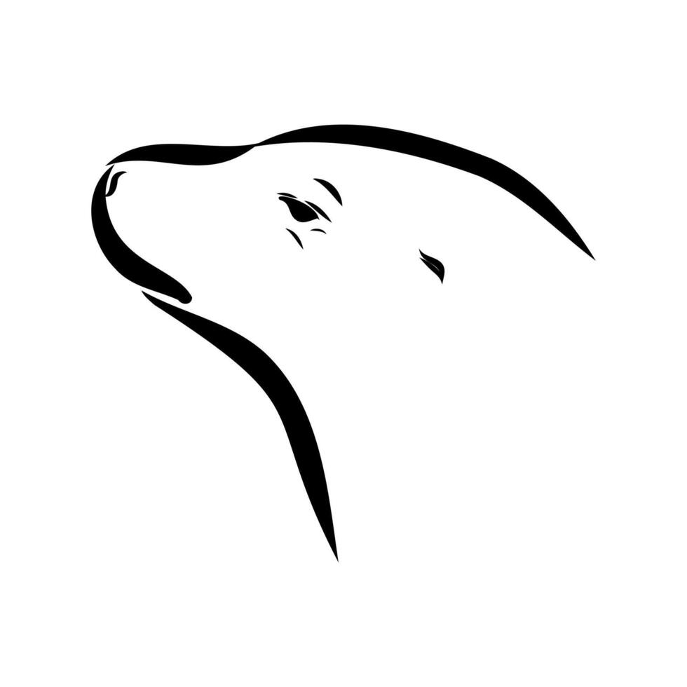 sea lion's head black and white sketch vector