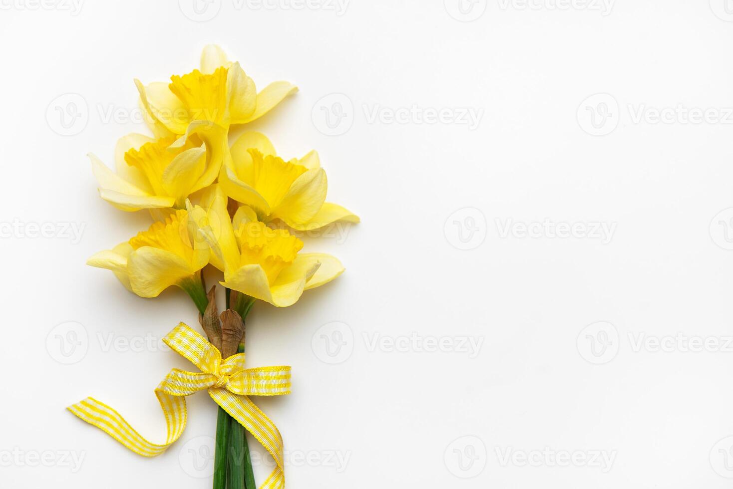 Yellow daffodils with ribbon bow lying on white background photo
