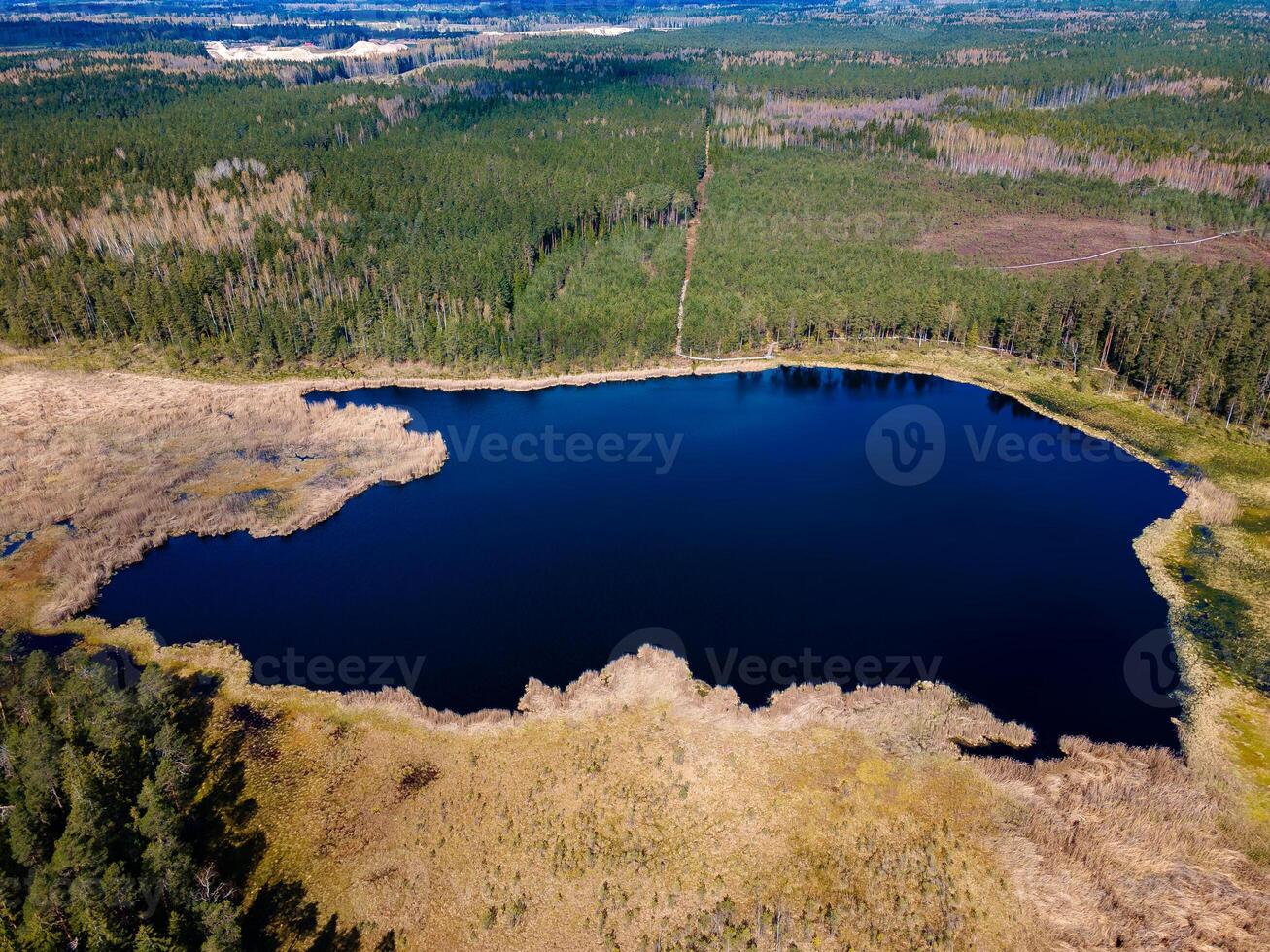 Aerial View of Irregularly Shaped Lake Amid Forest and Open Areas photo