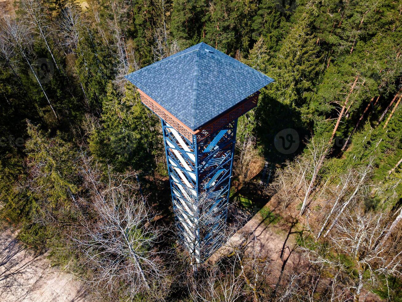 Observation Tower with Blue and White Patterns Amid Forest photo