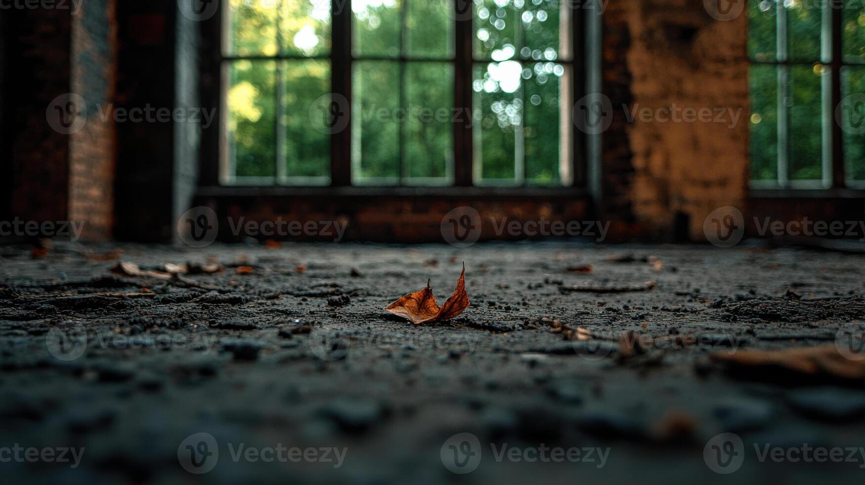A leaf lying on the floor in an abandoned building photo