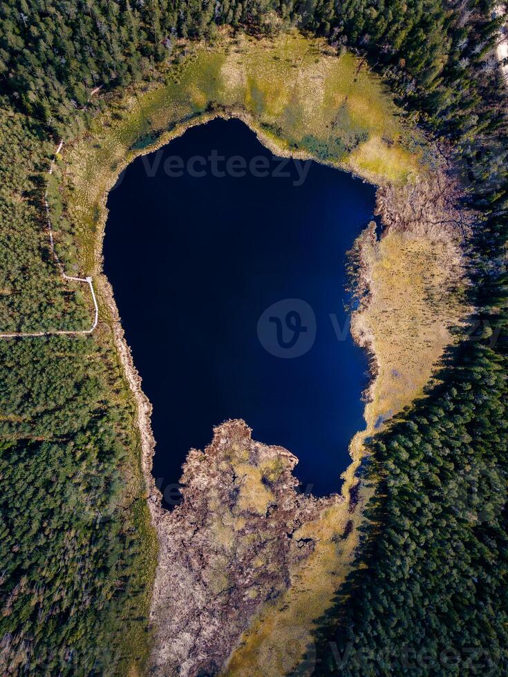 Heart Shaped Lake Surrounded by Dense Forest photo